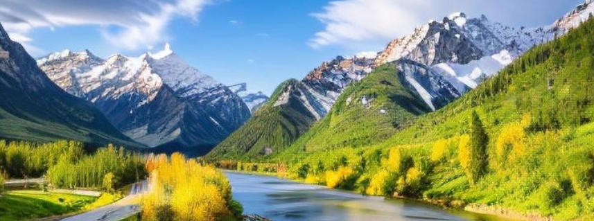 廣東貳叁玖捌壹商貿有限公司輪播圖3