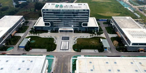 爭分奪秒趕工期 經濟區(qū)重點項目建設火熱進行中